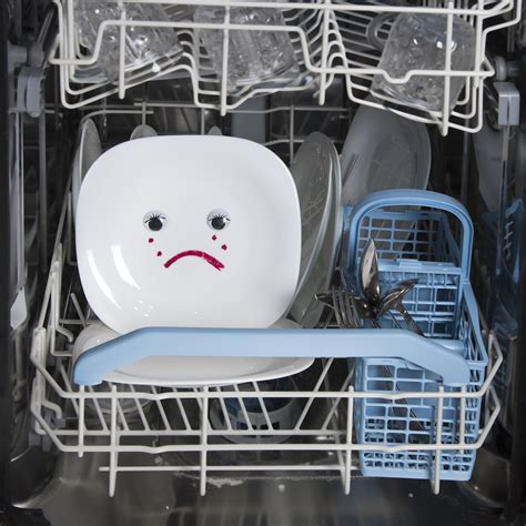 Unclog or Clean the Dishwasher's Drain Hose
